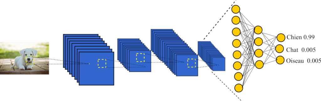 Schéma représentant un réseau neuronal convolutif utilisé pour la reconnaissance d'images d'un chien, avec des couches de traitement et un résultat de classification.
