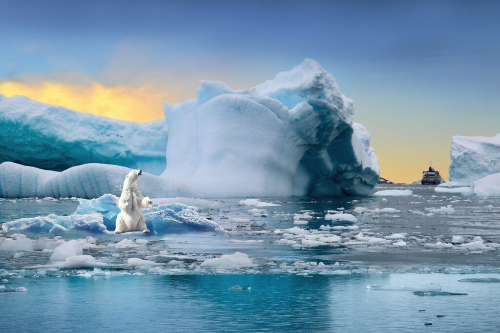 Ours polaire sur un bloc de glace flottant au milieu d'une étendue d'eau avec des icebergs à l'arrière-plan.
