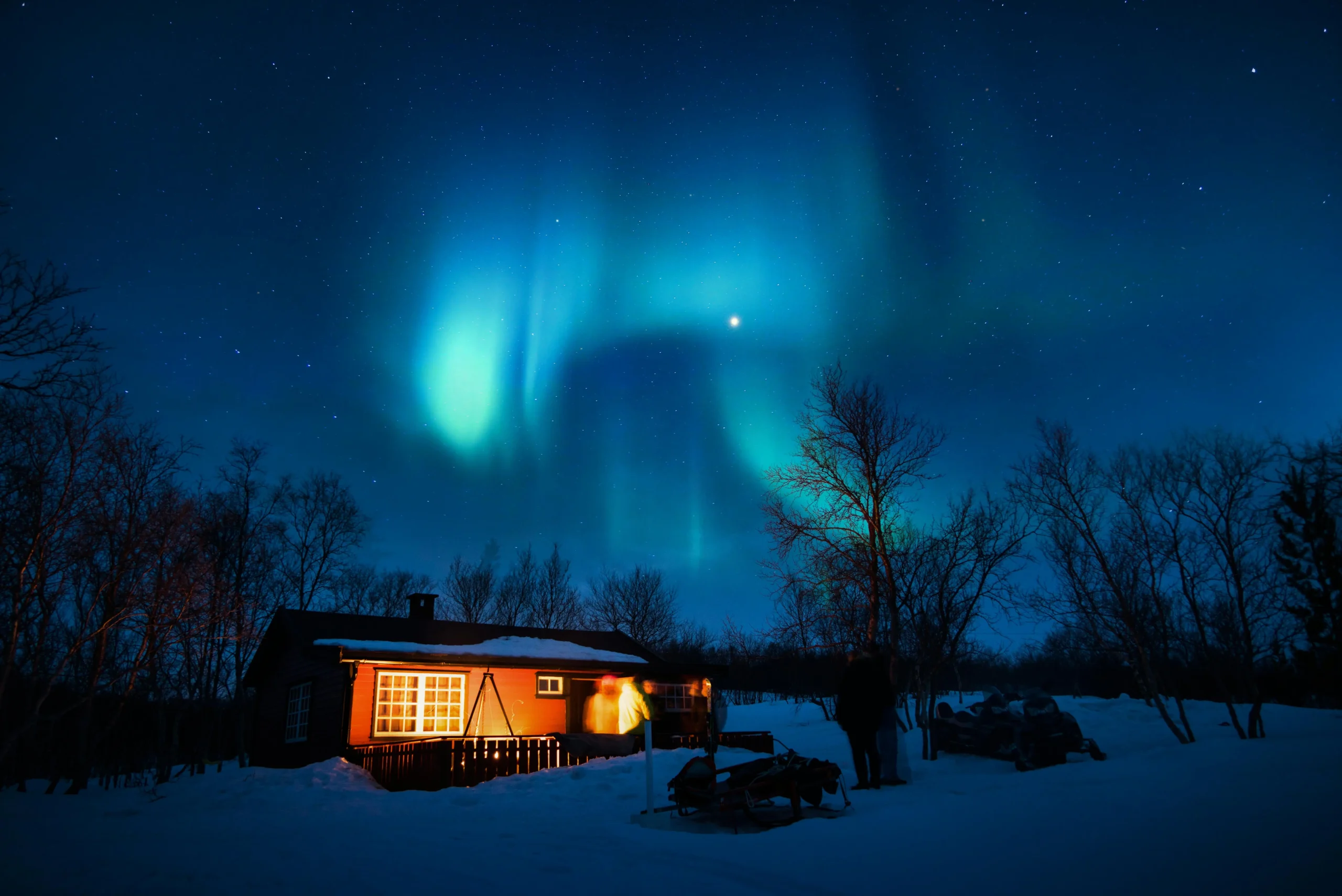 Aurores boréales dansant au-dessus d'une cabane enneigée avec des arbres dénudés en premier plan sous un ciel étoilé.